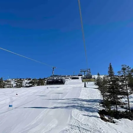 Platinum Hippu, Premium In The Center Of Levi