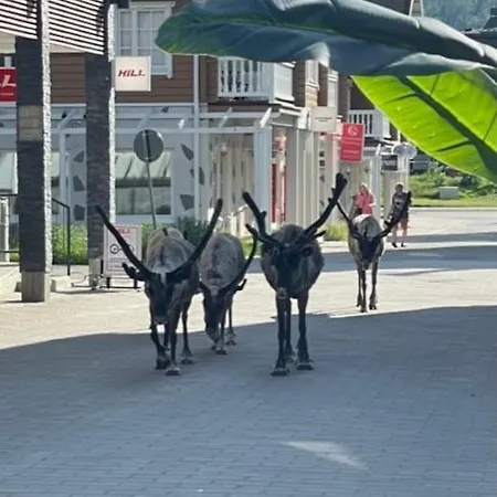 Platinum Hippu, Premium In The Center Of Apartament Levi