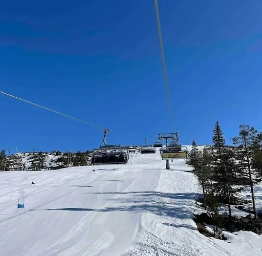 Platinum Hippu, Premium In The Center Of Levi