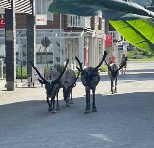 Platinum Hippu, Premium In The Center Of 아파트 레비