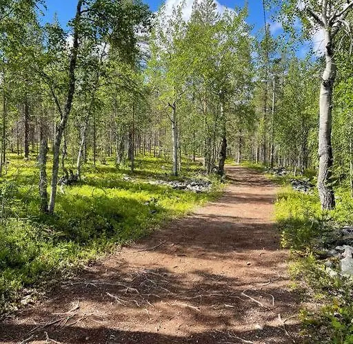 Platinum Hippu, Premium In The Center Of *